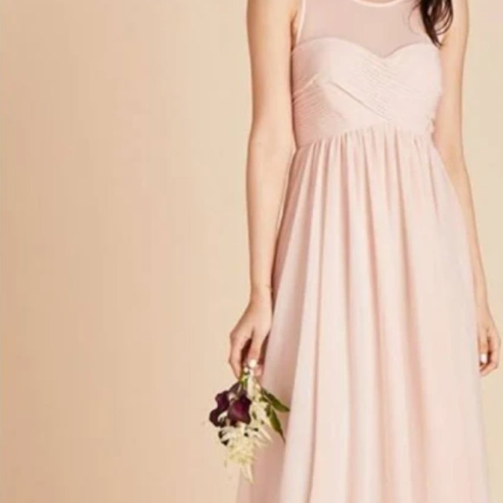 NWT✨ Birdy Grey - Ryan Bridesmaid Dress (Blush)